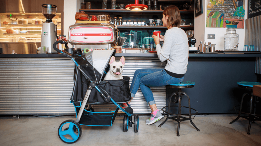 Hundebuggys für kleine und große Hunde bei Mobilitätsproblemen.