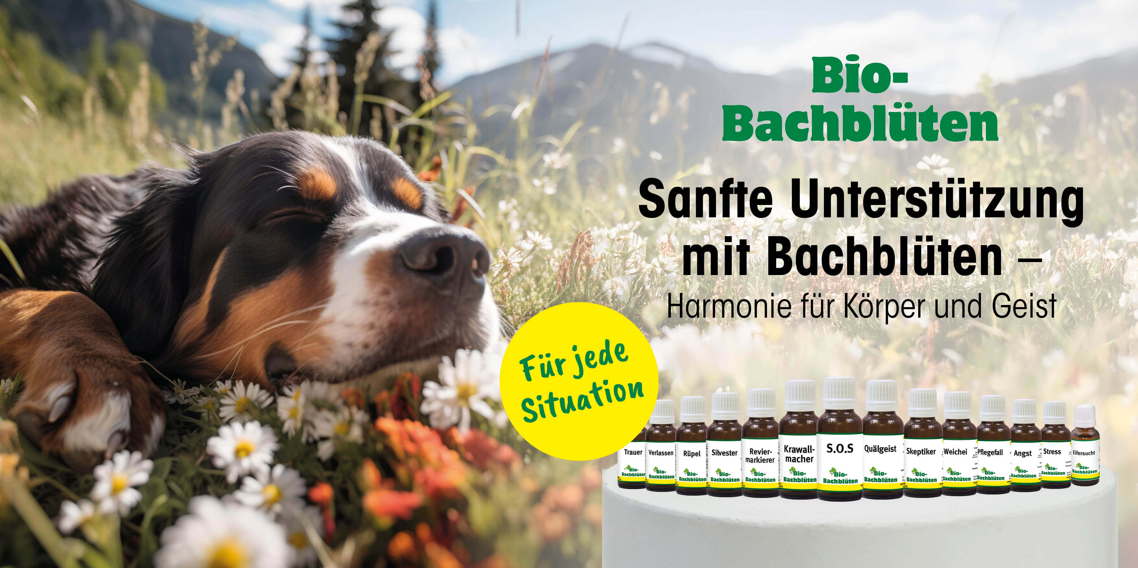 Bio-Bachblüten