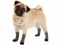 Mobile Preview: Doggy Socks Hundesocken grau schwarz weiß
