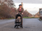 Mobile Preview: InnoPet® Allure Cheetah Hundebuggy für kleine Hunde im Einsatz