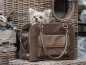Preview: InnoPet® Traveler Lizard Hundetasche im Einsatz auf Stuhl