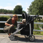 Preview: InnoPet® Monaco Hundebuggy schwarz für kleine Hunde mit Hund im Einsatz