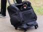 Mobile Preview: InnoPet® 4 in 1 Roller Carrier Hundetrolley schwarz für kleine Hunde