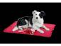 Mobile Preview: Nikolaus Spielzeug mit Liegedecke für Hunde