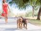 Mobile Preview: Wigzi Dual Doggie Automatik-Leine für zwei Hunde