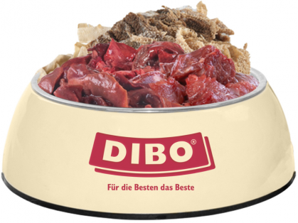 Dibo Aktiv-Mix Hundefutter im Napf