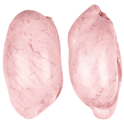 Bullenhoden Frostfutter für Hunde