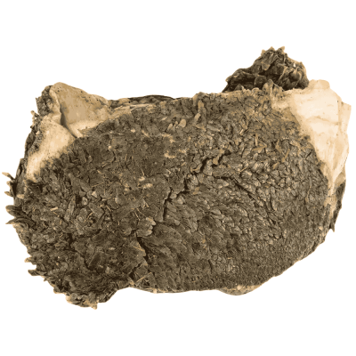 Grüner Pansen vom Rind am Stück Frostfutter für Hunde  ohne Verpackung