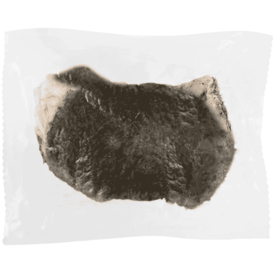 Grüner Pansen vom Rind am Stück Frostfutter für Hunde  mit Verpackung