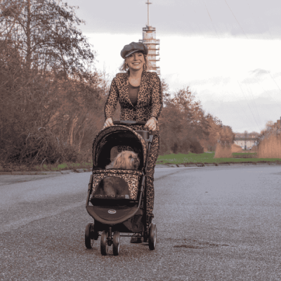 InnoPet® Allure Cheetah Hundebuggy für kleine Hunde im Einsatz