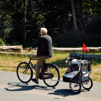 InnoPet Sporty-Trailer Deluxe Fahrradanhänger Hund schwarz grau für kleine Hunde mit Hund im Einsatz