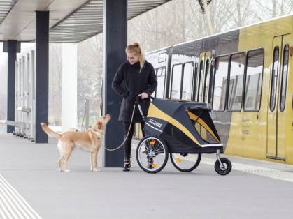 InnoPet Hercules Hundebuggy/Fahrradanhänger grau/gelb