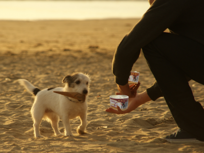 Hundeeis mit Banane, Honig und Erdnüssen (Hund am Strand)
