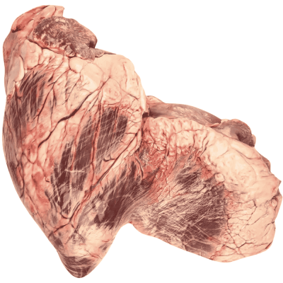 Rinderherz ganz mit Kranz Frostfutter für Hunde