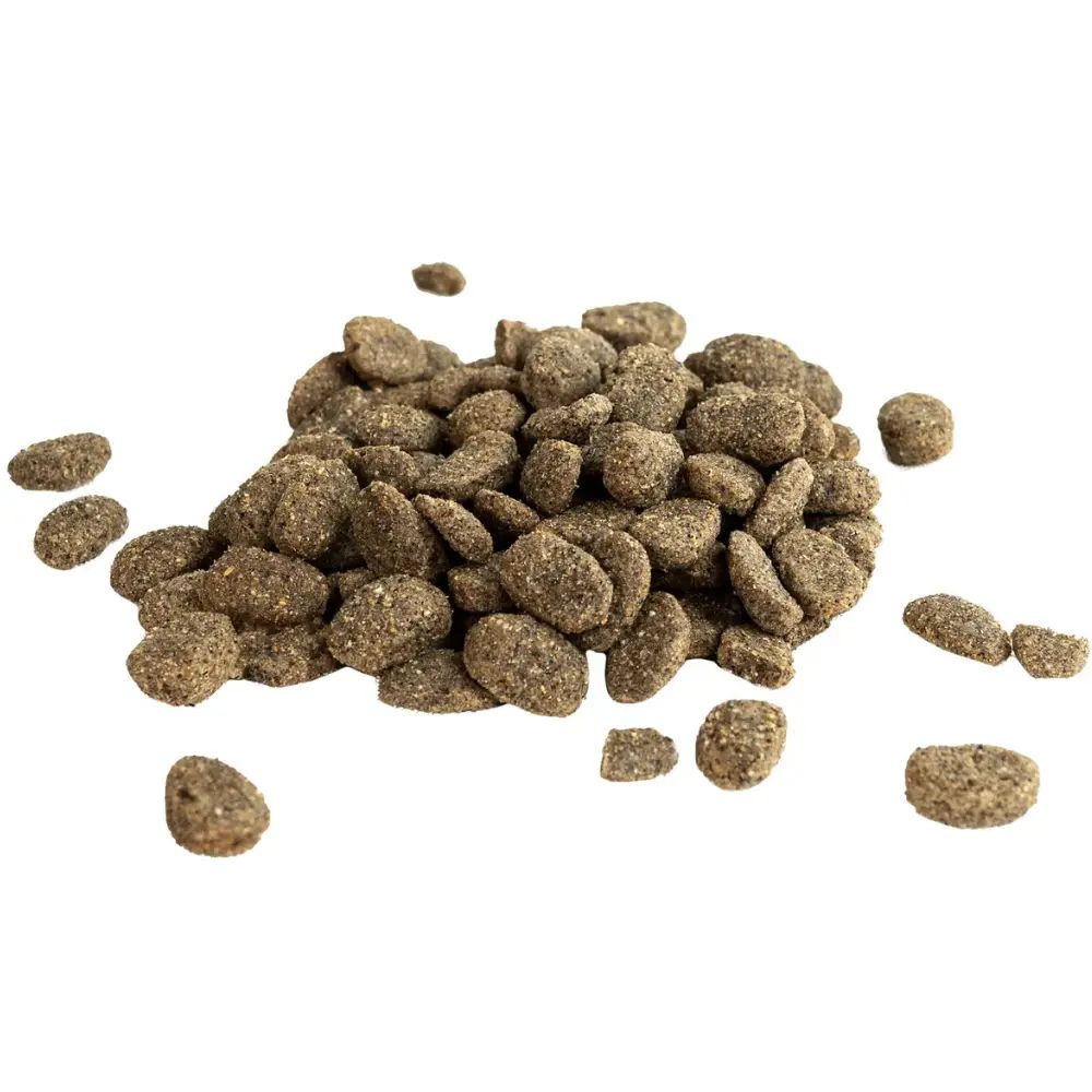 Glutenfreies Hundefutter Vaks mit Lachs fr alle Hunde