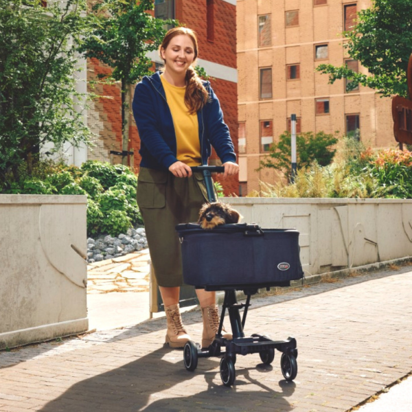 InnoPet® City Hopper Hundebuggy für kleine Hunde anthrazit