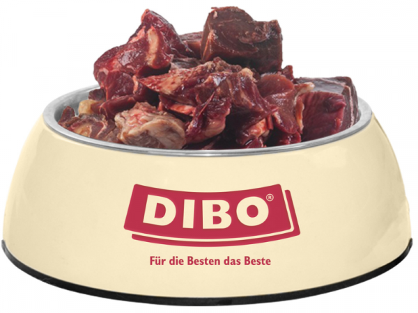 Dibo Pferdefleisch Hundefutter im Napf