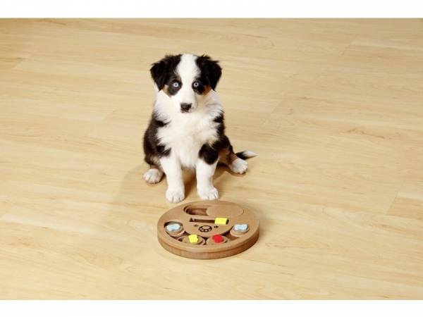 Brettspiel für Hunde Brettspiel für Hunde
