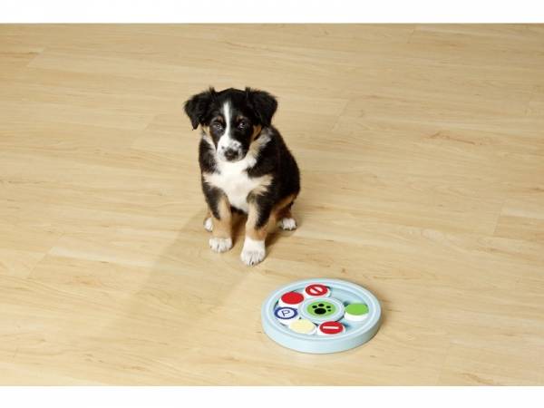Brettspiel für Hunde Brettspiel für Hunde