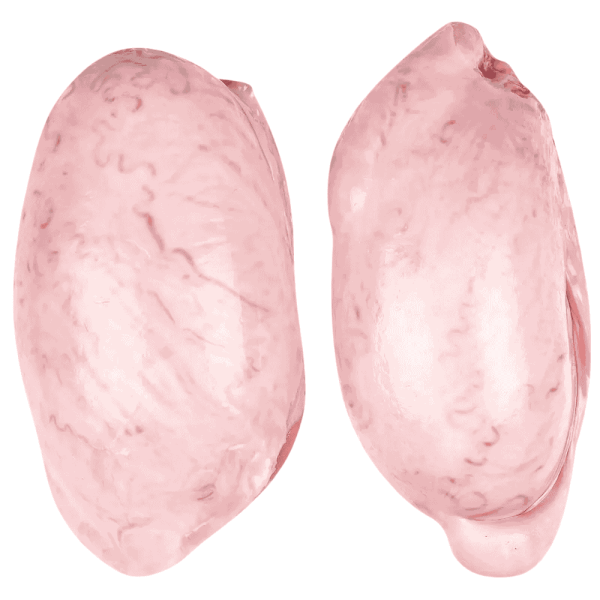 Bullenhoden Frostfutter für Hunde