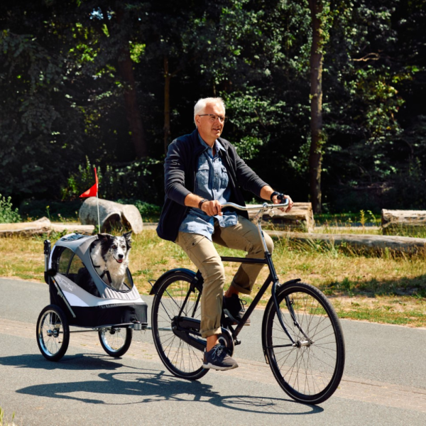 InnoPet Sporty-Trailer Deluxe Fahrradanhänger Hund schwarz grau für kleine Hunde im Einsatz