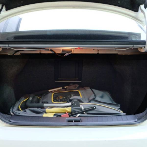 InnoPet Hercules Hundebuggy Fahrradanhänger im Kofferraum