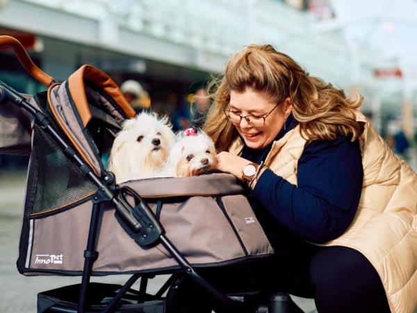 InnoPet® Premium Cozy Hundebuggy für kleine Hunde beige im Einsatz mit Hunden