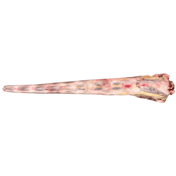 Ochsenschwanz am Stück Frostfutter für Hunde