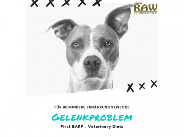 Petman Raw Joint Balance Hundefutter bei Gelenkproblemen