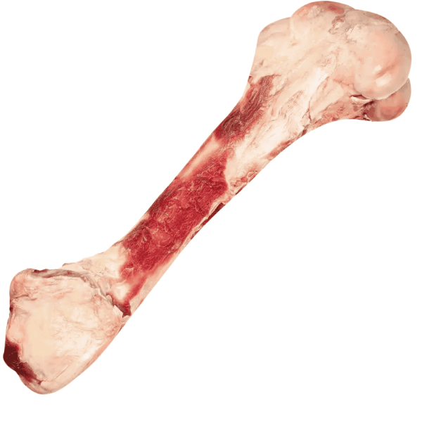 Rinderhüftknochen Frostfutter für Hunde