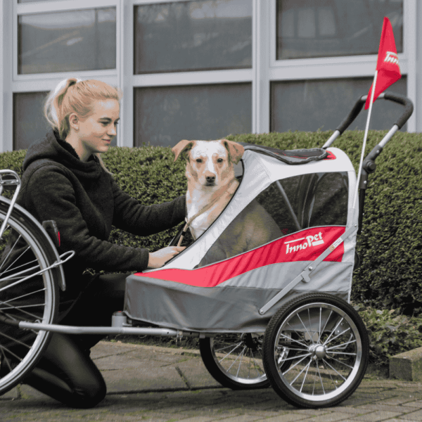 InnoPet Sporty-Trailer Deluxe Fahrradanhänger Hund rot grau mit Hund im Einsatz