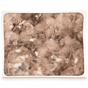 Grüner Pansen vom Rind gewolft Frostfutter für Hunde in der Päckchenverpackung