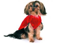 Hundepullover mit Regencape rot schwarz