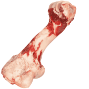 Rinderknochen Frostfutter für Hunde ohne Verpackung