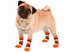 Hundesocken orange gestreift an den Hundebeinen